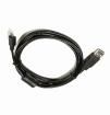 T198533  Wire & Cable
