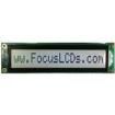 C161CLBFKSW6WT55XAA electronic component of Focus Display Solutions Inc