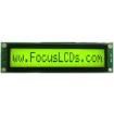 C161CLBSYLY6WT55XAA electronic component of Focus Display Solutions Inc
