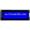 C162LLBSBSW6WN55PAB electronic component of Focus Display Solutions Inc