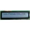 C202ALBFKSW6WT55XAA electronic component of Focus Display Solutions Inc