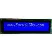 C202ALBSBSW6WN55XAA electronic component of Focus Display Solutions Inc