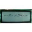 C204BLBFKSW6WT55XAA electronic component of Focus Display Solutions Inc