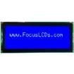 C204BLBSBSW6WN55XAA electronic component of Focus Display Solutions Inc
