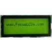 C204BLBSYLY6WT55XAA electronic component of Focus Display Solutions Inc