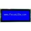 C204DLBSBSW6WN55XAA electronic component of Focus Display Solutions Inc