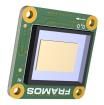 FSM-IMX283C-04G-V2A  Sensors