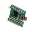 FT2232H MINI MODULE Interface Development Tools