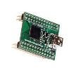 FT4232H-56Q MINI MDL Interface Development Tools