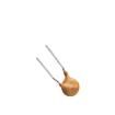 FTR250-030 Resettable Fuses - PPTC