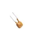 FTR250-110 Resettable Fuses - PPTC