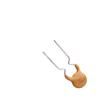 FTR60-020 Resettable Fuses - PPTC