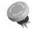 AH165-VR02 Pushbutton Switches