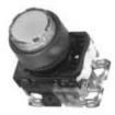 AR22E0L-10E3S Pushbutton Switches