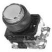 AR22E0L-11E3W Pushbutton Switches