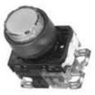 AR22E0L-11E4R Pushbutton Switches