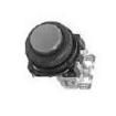 AR22E0R-10G Pushbutton Switches
