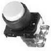 AR22E0R-10R Pushbutton Switches