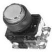 AR22E0R-11W Pushbutton Switches