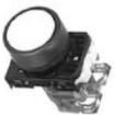 AR22F0R-20Y Pushbutton Switches