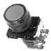 AR22G3R-10B Pushbutton Switches