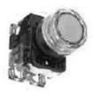 AR22G9L-10E4G  Electromechanical