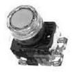 AR22G9L-10E4G Pushbutton Switches