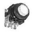 AR30E0L-10E3G  Electromechanical