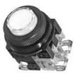 AR30E0L-10E3W Pushbutton Switches