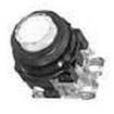 AR30E0L-11E4W Pushbutton Switches