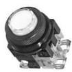 AR30E0L-11L3W Pushbutton Switches
