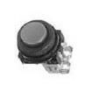 AR30E0R-01B Pushbutton Switches