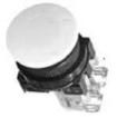 AR30M0R-01Y Pushbutton Switches