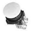 AR30M5R-01R Pushbutton Switches