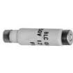 BLC020-1 Cartridge Fuses