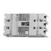 EW100EAGU-2P060B Circuit Breakers