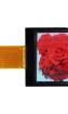 ELF1101AA OLED Displays & Accessories