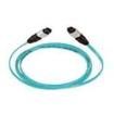 FZL12D5-5M60  Wire & Cable