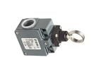 FZ 576 Limit Switches
