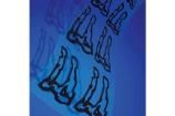 EDR-21-060-0750-SC EMI Gaskets, Sheets, Absorbers & Shielding