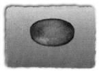 1421T6CL  Electromechanical