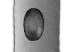 1421T6CL Mounting Fixings