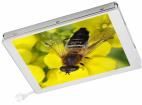 HDA570ST-V  Optoelectronics