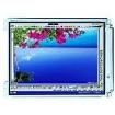 HDA800S-GL  Optoelectronics