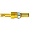 09692825420  Connectors