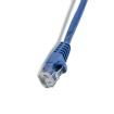 PCBLU1 Ethernet Cables / Networking Cables