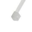 T40L9C2 Cable Ties