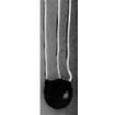 137-462ZWS-D01 NTC (Negative Temperature Coefficient) Thermistors