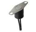2455RBV01170289 Thermostats
