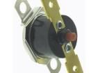 2455RM 01000331 Thermostats